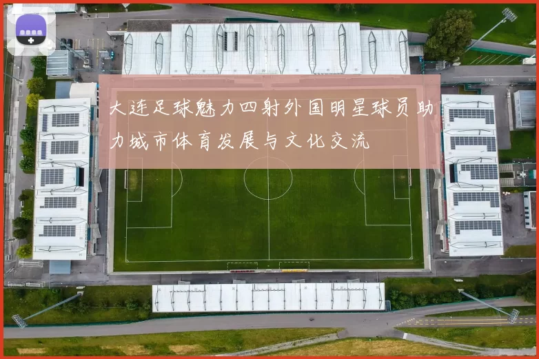 大连足球魅力四射外国明星球员助力城市体育发展与文化交流