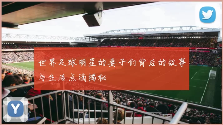 世界足球明星的妻子们背后的故事与生活点滴揭秘