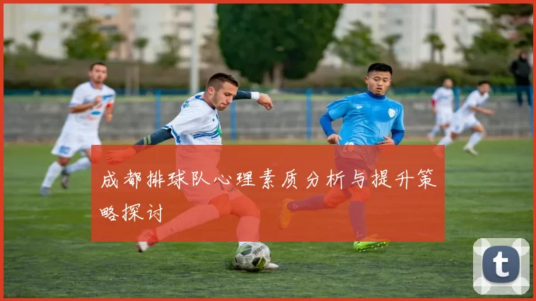成都排球队心理素质分析与提升策略探讨