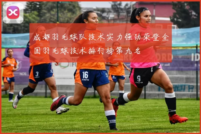 成都羽毛球队技术实力强劲荣登全国羽毛球技术排行榜第九名