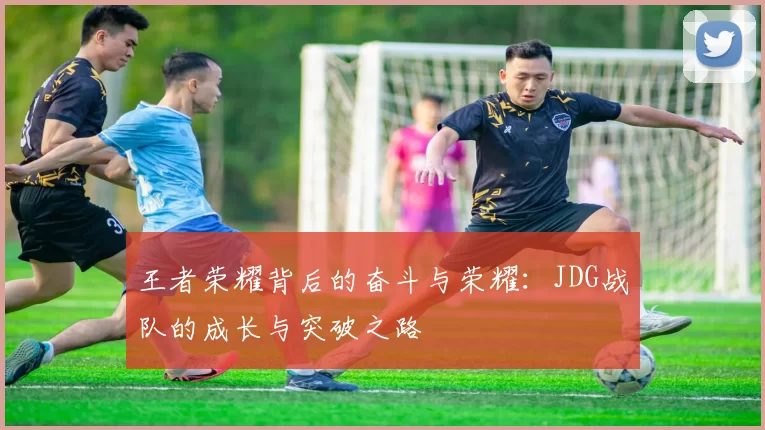 王者荣耀背后的奋斗与荣耀：JDG战队的成长与突破之路
