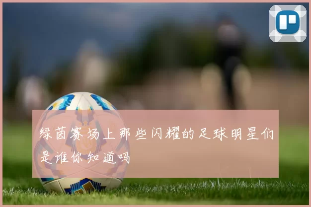绿茵赛场上那些闪耀的足球明星们是谁你知道吗
