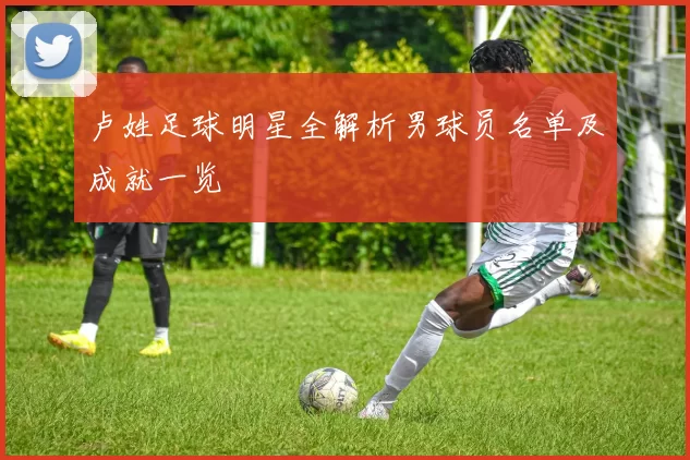 卢姓足球明星全解析男球员名单及成就一览