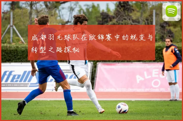 成都羽毛球队在欧锦赛中的蜕变与转型之路探秘